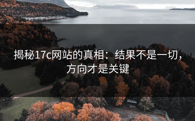揭秘17c网站的真相：结果不是一切，方向才是关键