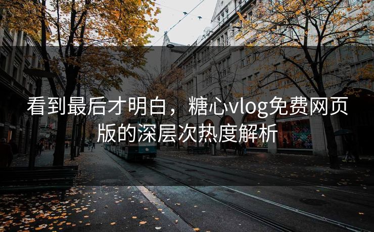 看到最后才明白，糖心vlog免费网页版的深层次热度解析