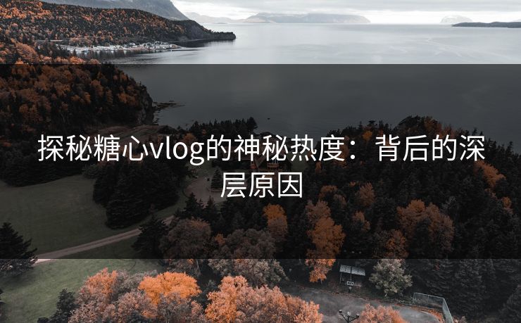 探秘糖心vlog的神秘热度：背后的深层原因  第1张