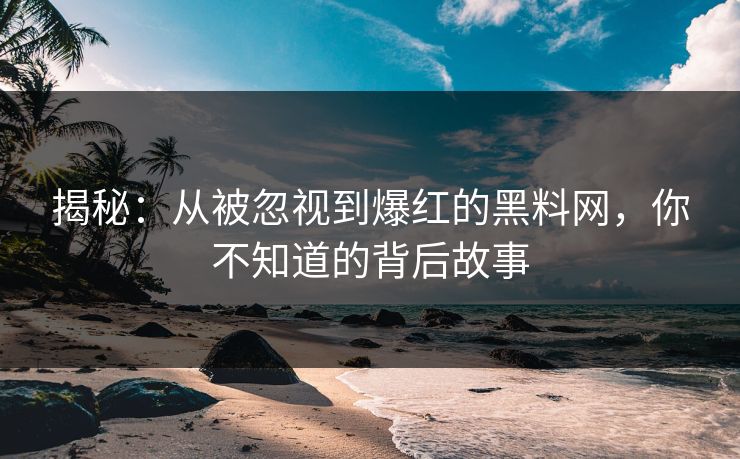 揭秘：从被忽视到爆红的黑料网，你不知道的背后故事  第1张
