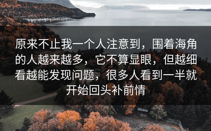 原来不止我一个人注意到，围着海角的人越来越多，它不算显眼，但越细看越能发现问题，很多人看到一半就开始回头补前情