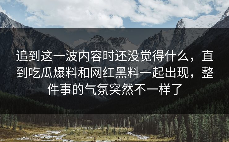 追到这一波内容时还没觉得什么，直到吃瓜爆料和网红黑料一起出现，整件事的气氛突然不一样了