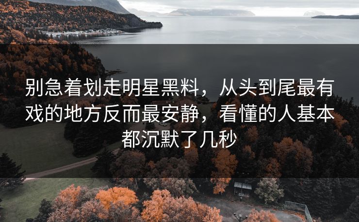 别急着划走明星黑料，从头到尾最有戏的地方反而最安静，看懂的人基本都沉默了几秒  第1张
