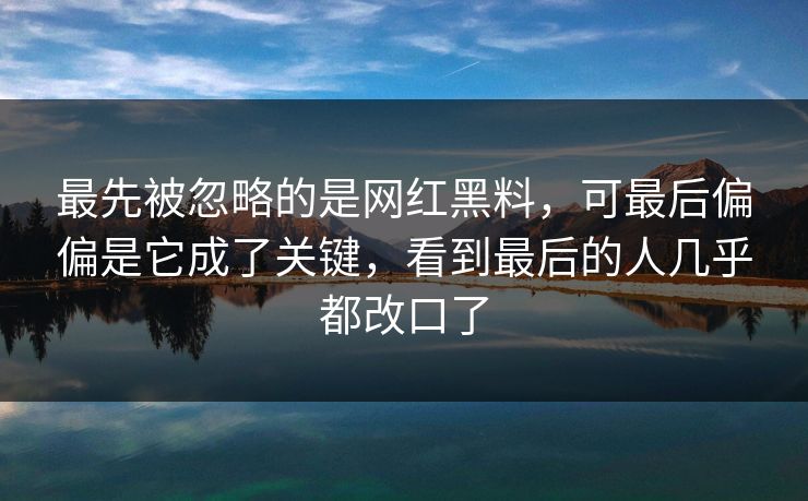 最先被忽略的是网红黑料，可最后偏偏是它成了关键，看到最后的人几乎都改口了